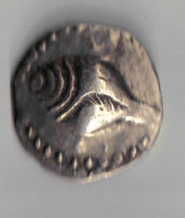   shell temple coin