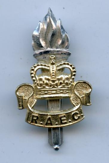 Royal Army Educational Corps Anodised Cap Badge