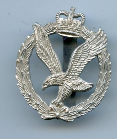 Army Air Corps  Anodised Cap Badge