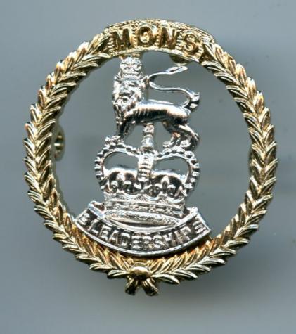 Mons Officer Cadet School  Anodised Cap Badge