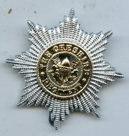 The Cheshire Regiment  Anodised Cap Badge