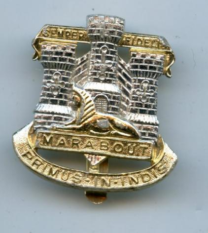 Devonshire & Dorset  Regiment Anodised Cap Badge