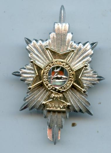 The Worcestershire & Sherwood Foresters Regiment  Anodised Cap Badge