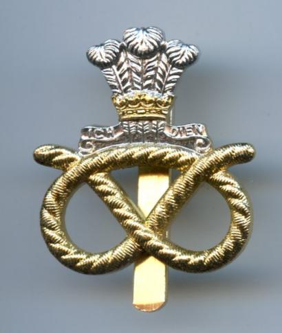 The Staffordshire Regiment Anodised Cap Badge