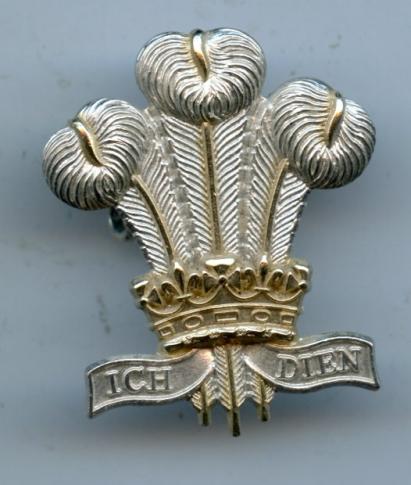 The Royal Regiment of Wales Anodised Cap Badge