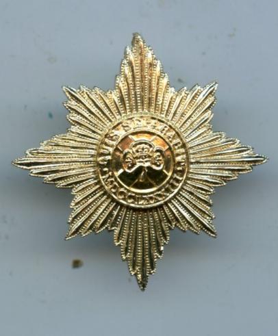 The Irish Guards Anodised Cap Badge