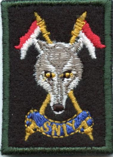 The Scottish and North Irish Yeomanry (SNIY) 2nd type Other Ranks SNIY Scroll Cloth Beret Badge