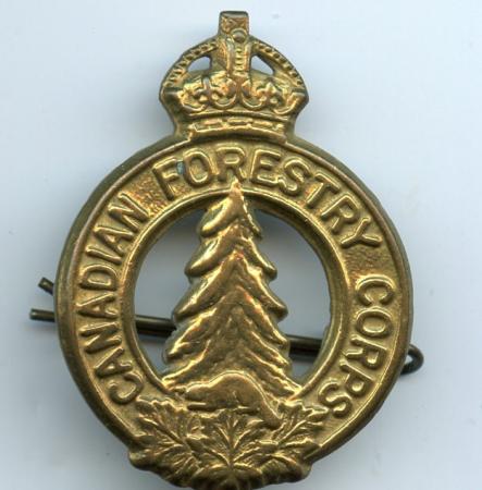 Canadian Forestry Corps Cap Badge