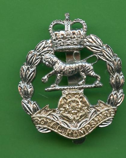 The Hampshire Regiment Anodised Cap Badge