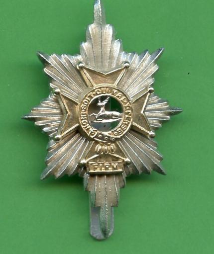 Worcestershire & Sherwood Foresters Anodised Cap Badge