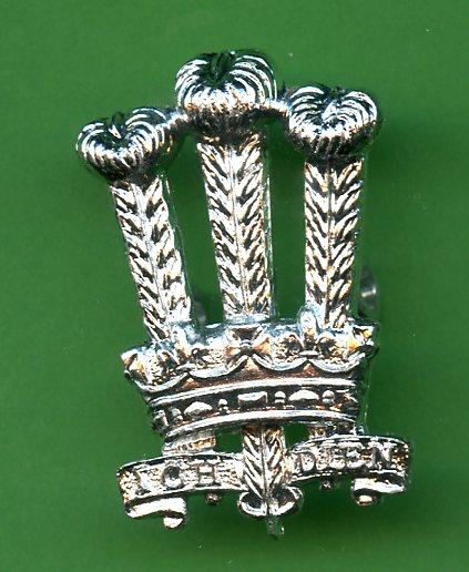 Welsh Brigade Anodised Cap Badge