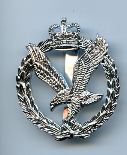 Army Air Corps Anodised Cap Badge