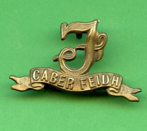 Seaforth Highlanders Brass Collar Badge