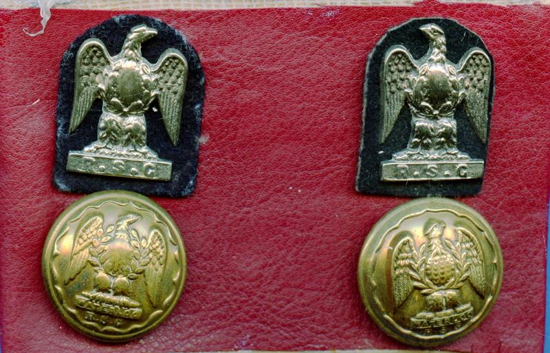 Pair of Royal Scots Greys Officers Collar Badges & Buttons