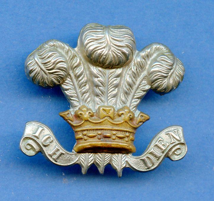 Wiltshire Yeomanry Cap Badge