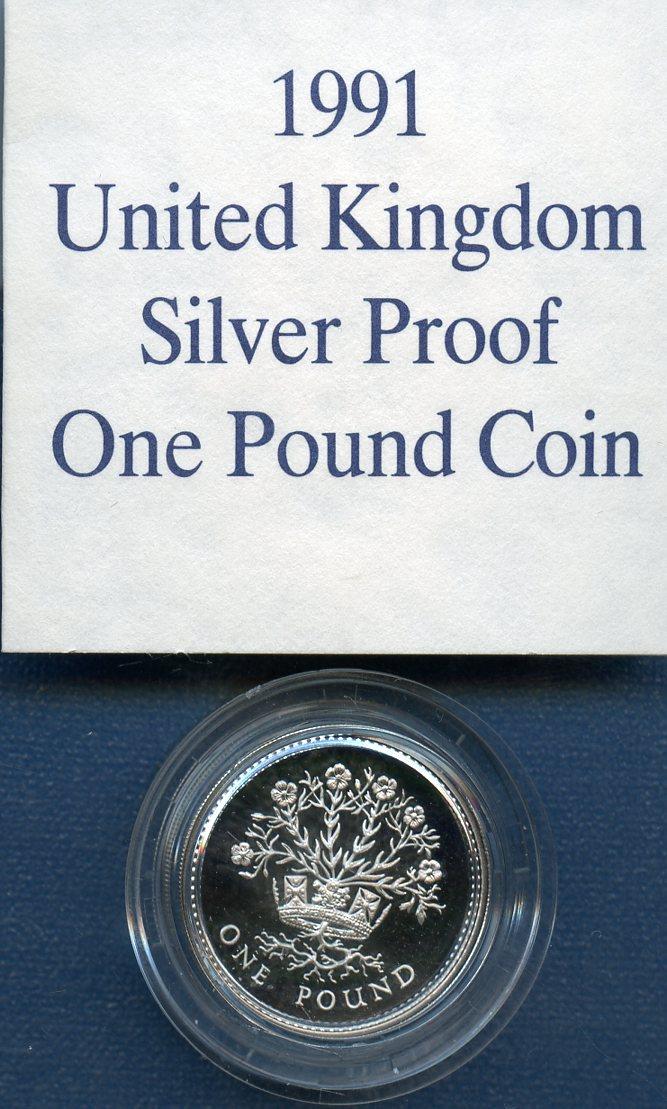 1991 UK Silver Proof £1 One Pound Coin  Northern Ireland Flax Design Obverse