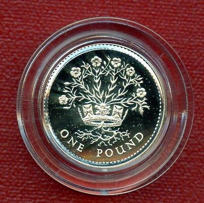 1986 UK  Silver Proof  Piedfort £1 One Pound Coin Northern Ireland Flax Design Obverse