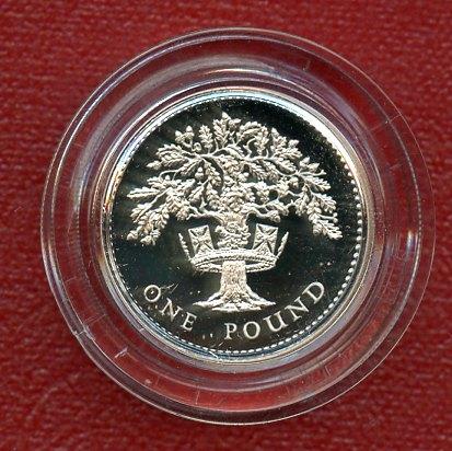 1987 UK  Silver Proof Piedfort £1 One Pound Coin England English Oak Obverse