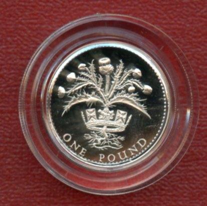 1989 UK  Silver Proof £1 Piedfort One Pound Coin Scottish Thistle  Design Obverse