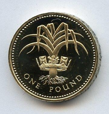 1985 UK Proof £1 One Pound Coin Welsh Leek  Design Obverse