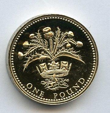 1989 UK   Proof £1 One Pound Coin Scottish Thistle  Design