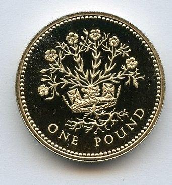 1991 UK  Proof £1 One Pound Coin   Northern Ireland