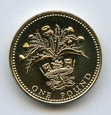 1989 UK Brilliant Uncirculated  £1 One Pound Coin
