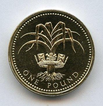 1990 UK Brilliant Uncirculated  £1 One Pound Coin