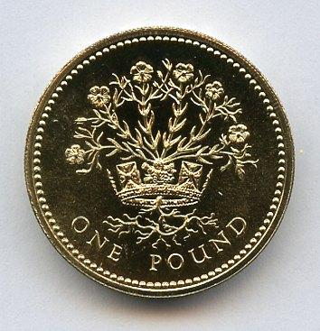 1991 UK Brilliant Uncirculated   £1 One Pound Coin  Northern Ireland