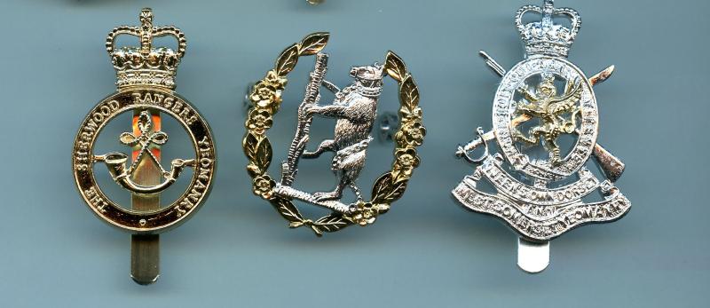 Set of 7 Different  Yeomanry  Anodised Cap Badges