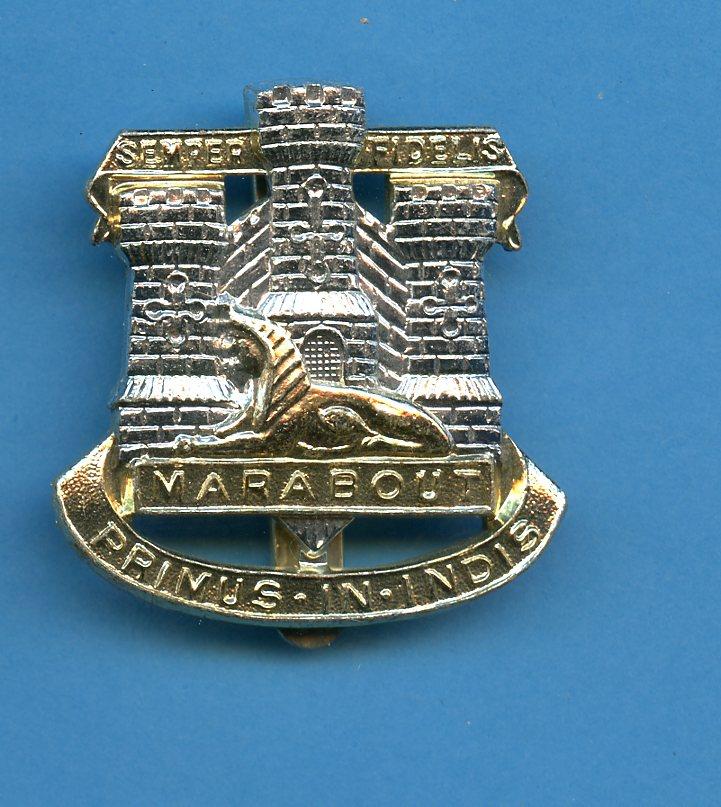Devonshire & Dorset Regiment  Anodised Cap Badge