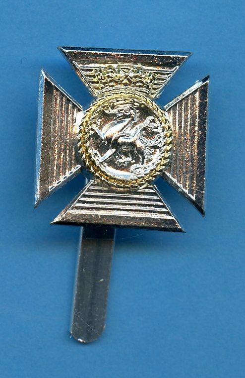 The Duke of Edinburgh's  Royal Regiment Berkshire & Wiltshire Anodised  Cap Badge
