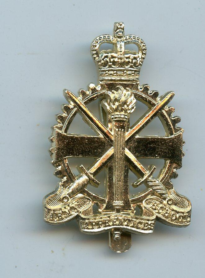 Army Apprentices School  Queens Crown Anodised Cap Badge