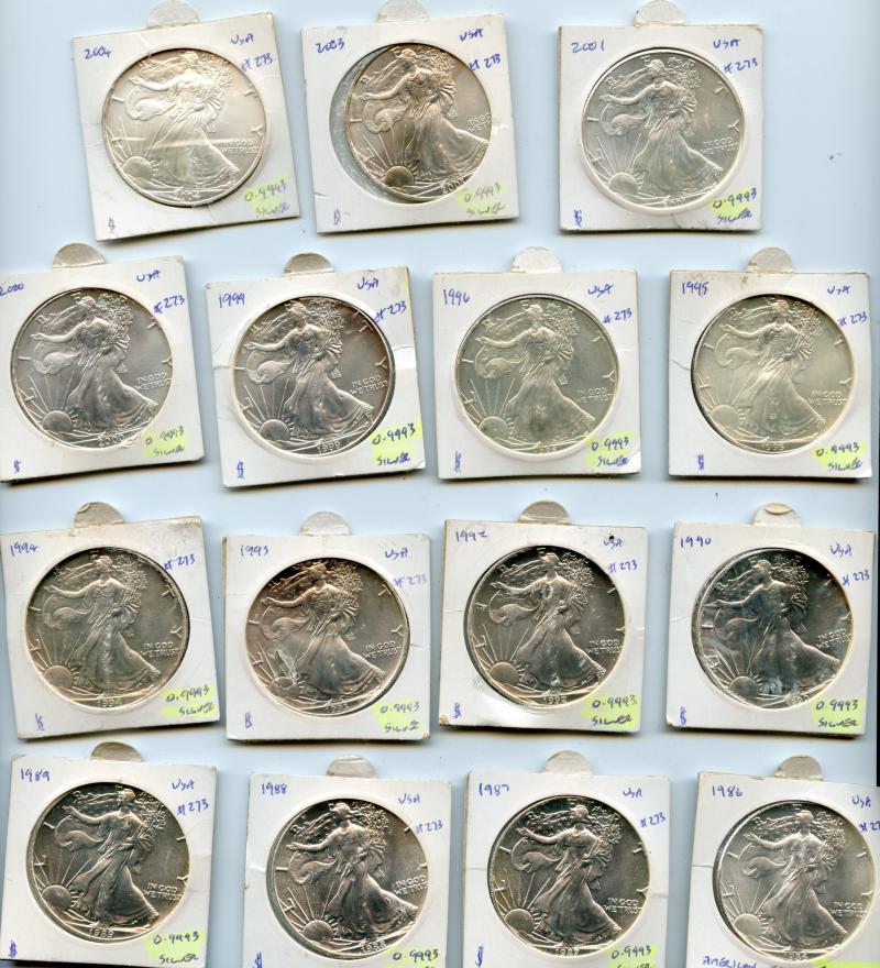 Dated Run of 15 U.S.A. Silver Eagle One Ounce Coins