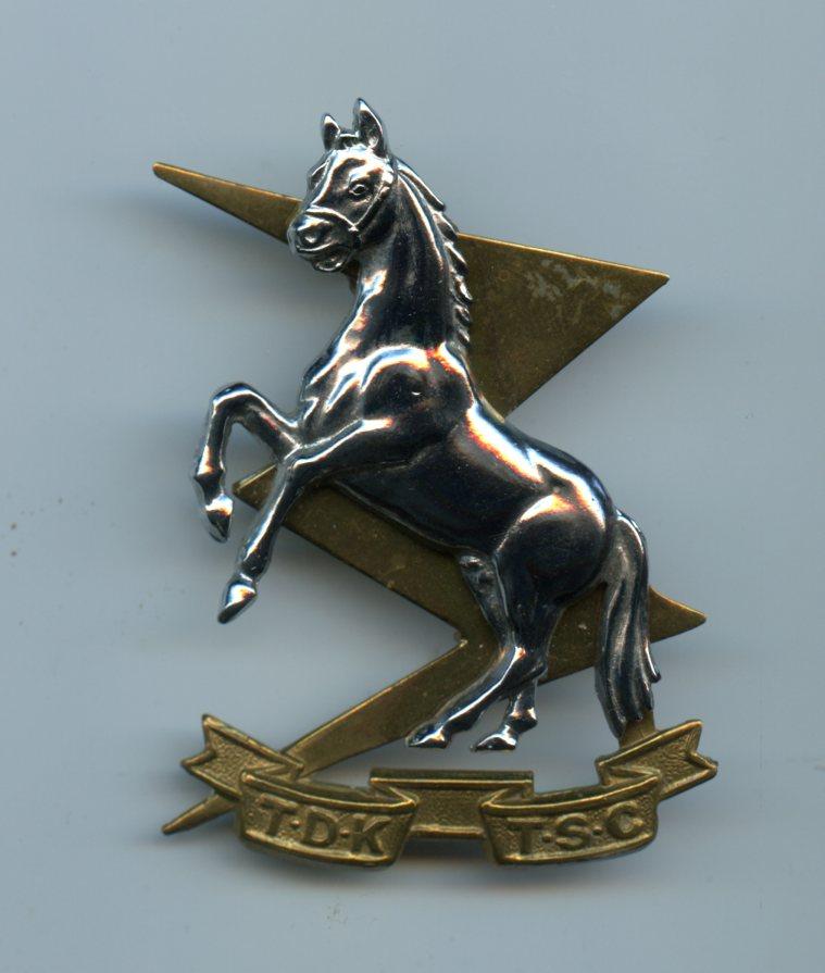 South African Technical Services REME Style Badge