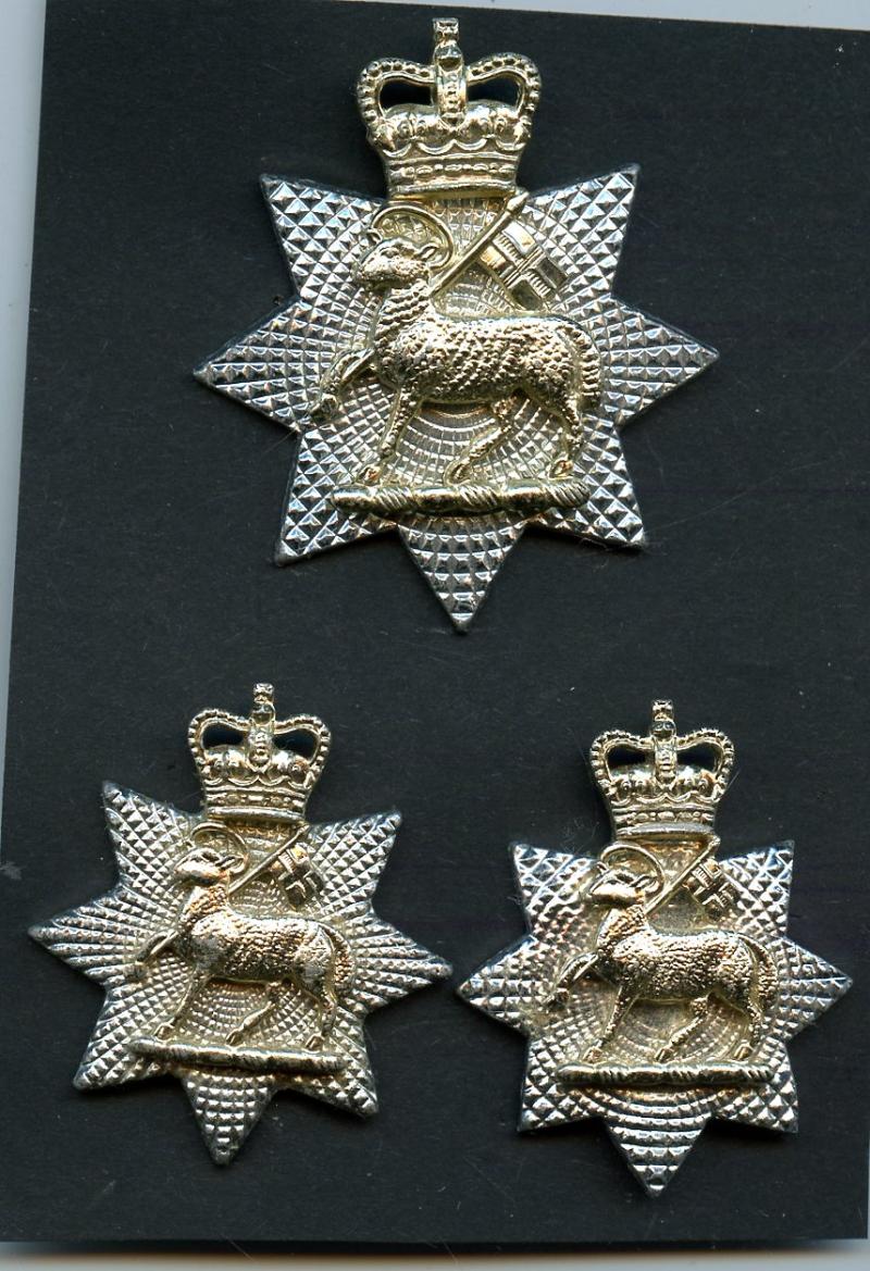 The Queen's Royal Surrey Regiment Andodised Cap Badge with pair of collar Badges