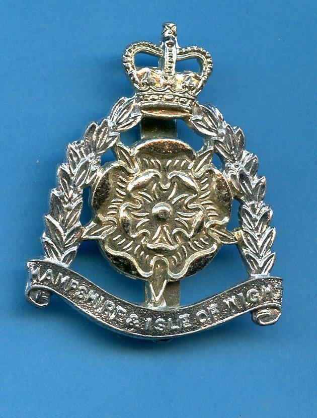 Hampshire & Isle of Wight Territorials Anodised  Cap Badge