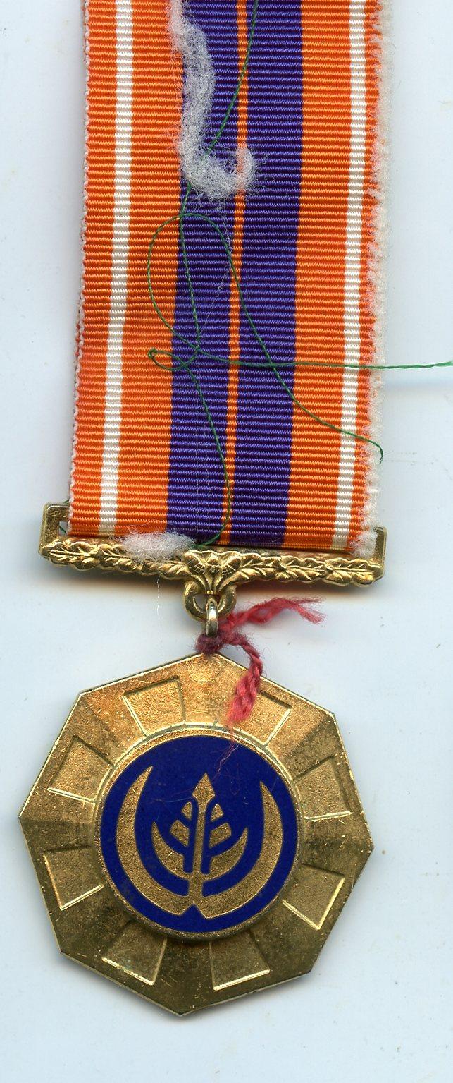 The South African Pro Patria  Gilt Medal